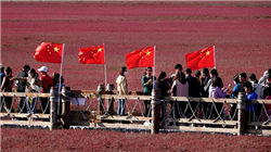 被戏称“半价理想”的零跑 怎么就成了新势力月销第一