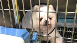 “深夜AI轰炸”消费者起诉获赔，银行信用卡困局催生营销乱象