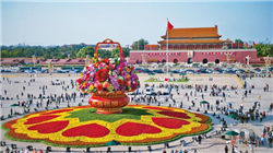 再没有比这更确定的拐点了！这个龙头马上要爆！创新药后最确定性的机会！