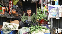 哈马斯代表团已抵达埃及 将与以色列谈判