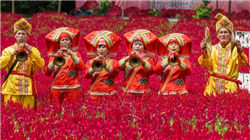 10天狂揽超760万，前券商大佬转战知识付费