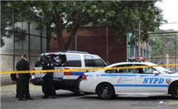 乌总统与美特使通话 讨论乌克兰和平进程