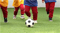 特朗普称要求司法部调查肉类加工公司