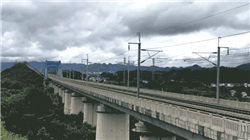 印度暂停征收棉花进口关税印度停收棉花税或为向美国示好？