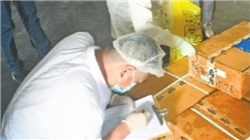 【钯铂专题】上市首日策略