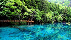 博主称上海快餐四菜一汤173元，商家：地处旅游商圈，明码标价icon_voice_onicon_voice