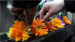 中国铸晨81拟折让约17.04%配股 最高净筹约361万港元