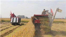 博深股份：聘任副总经理