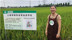 联合国确认安理会涉伊朗制裁决议已重新生效