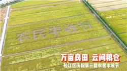 加码深蓝！长安汽车，大动作