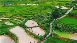 就乌克兰问题，欧盟、加拿大、英国、法国、德国、意大利等发声！