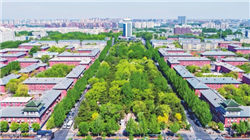 棕榈油多空拉锯4500关键位：印度需求能否对冲油脂板块压力？