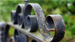 中国太保亮相2025可持续全球领导者大会