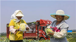 光莆股份：公司的光集成传感器封装产品可间接用于AR眼镜