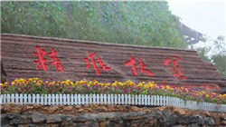 601012，换帅！父亲曾坐拥600亿，女儿却为陕西新首富家族打工？高瓴投资4年浮亏83亿