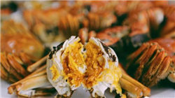 美国信用的十字路口：降级魅影重现，白宫“对决”美联储