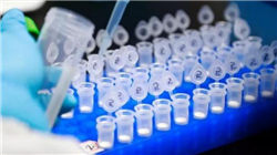 环球下周看点：巴菲特或将上演“最后一课” 中概股财报季揭幕