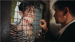 IPO回暖券商投行大赚，摩尔线程发行费刷新年内纪录